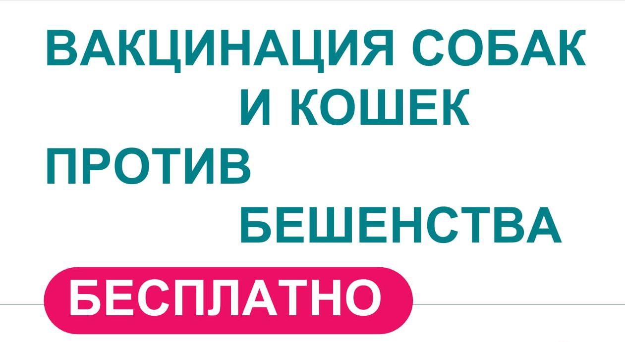 График противоэпизоотических мероприятий на территории Белохолуницкого района в 2025 году..