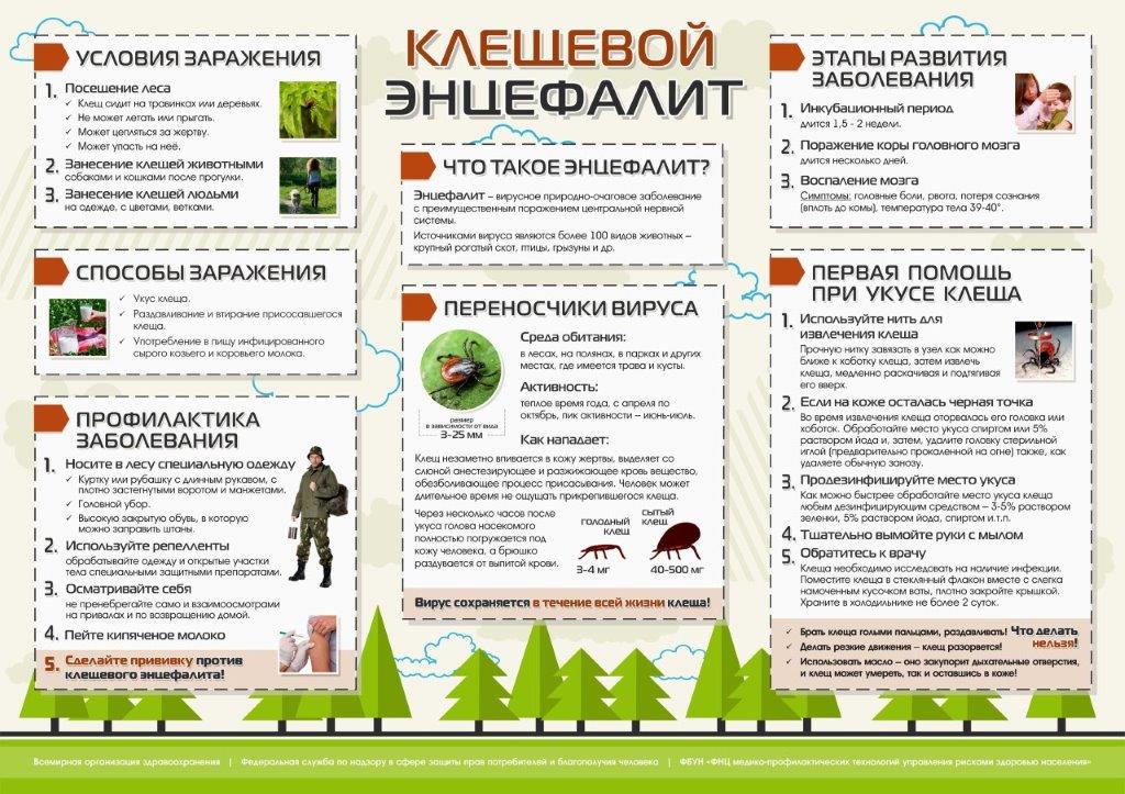 Информация об эпидемиологической ситуации по клещевым инфекциям и мерам профилактики..