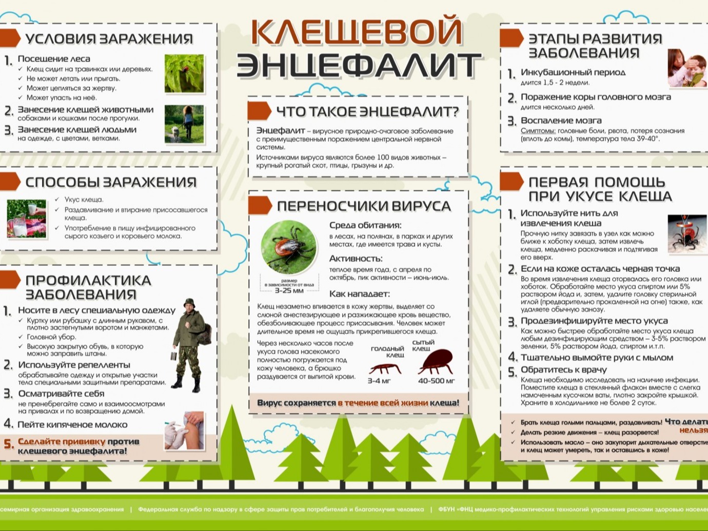 Клещевой энцефалит.