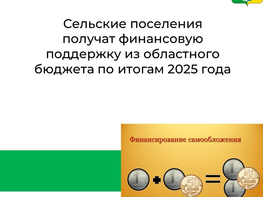 Сельские поселения получат финансовую поддержку из областного бюджета.