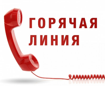 «Горячая линия» по вопросам организации питания в образовательных организациях. «Горячая линия» по вопросам организации питания в образовательных организациях.