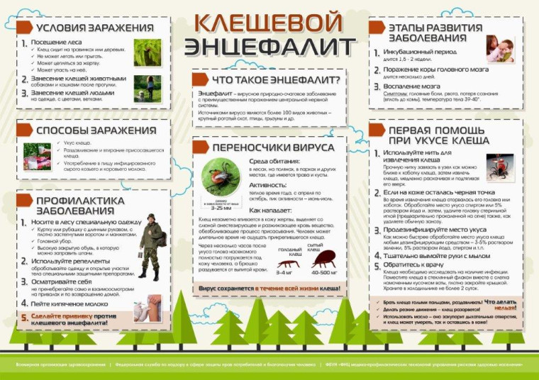 Информация об эпидемиологической ситуации по клещевым инфекциям и мерам профилактики.. Информация об эпидемиологической ситуации по клещевым инфекциям и мерам профилактики..