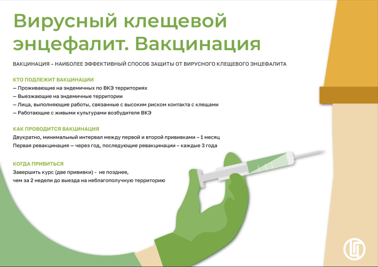 О вакцинации от клещевого энцефалита.