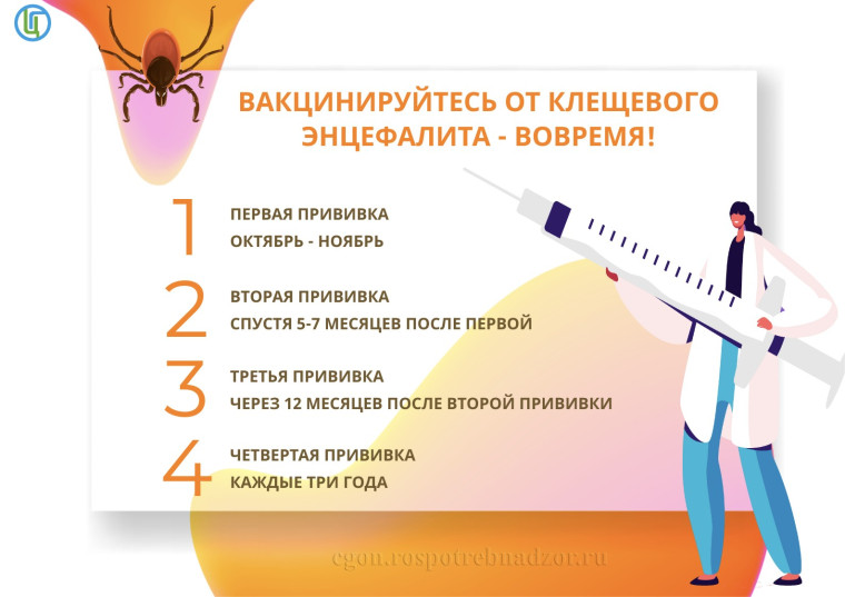 О вакцинации от клещевого энцефалита.